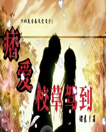 痞爱：校草驾到