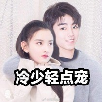冷少轻点宠