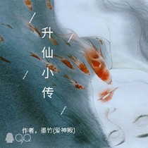 飞升小传