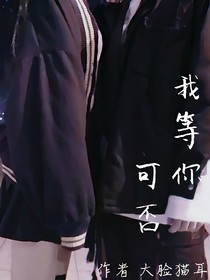 我等你可否