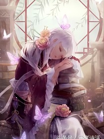 也许蝴蝶不恋花