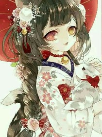 作者的苦逼生活