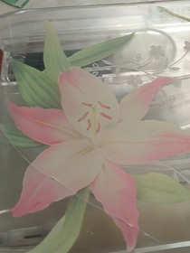 四季的旅程