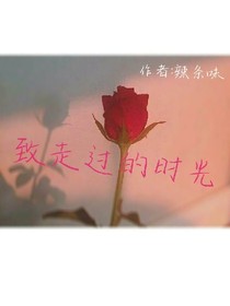 致走过的时光