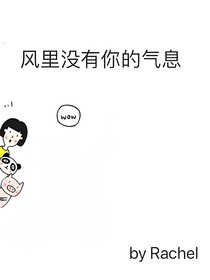 风里没有你的气息