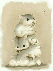 友情的珍贵所以我要珍惜。