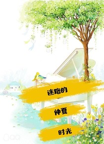 迷路的仲夏時光