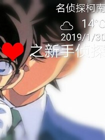 名侦探柯南之新手侦探
