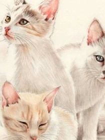 三只小猫历险记