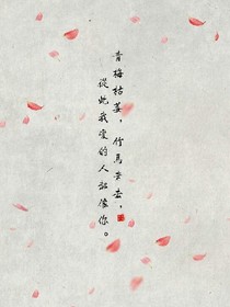 绝色王妃；王爷你别跑