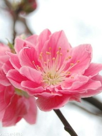 美好时光，阴谋再现