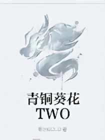 青铜葵花TWO