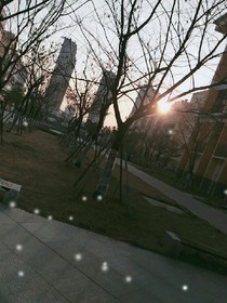 青春杂忆