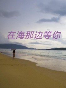 在海那边等你