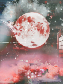 万花丛中过.