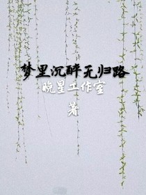 夢(mèng)里沉醉無(wú)歸路