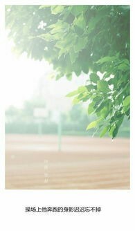 不狂枉少年