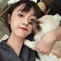 忆城且珍惜