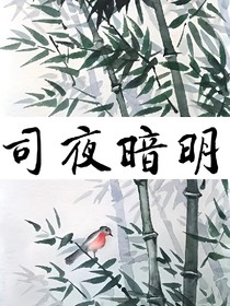 司夜暗明