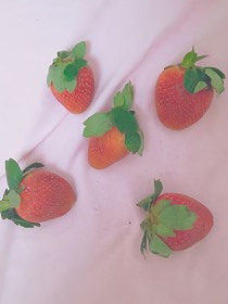 顾先生的宝贝小甜心.