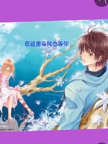 在这里等风也等你