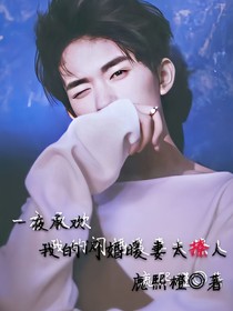 一夜承欢：我的闪婚暖妻太撩人