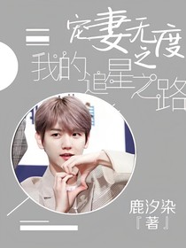 宠妻无度之我的追星之路