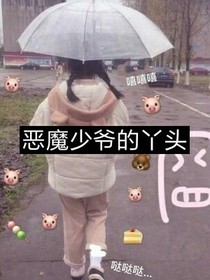 恶魔少爷的丫头安璐璐