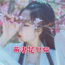 萌妻是只貓