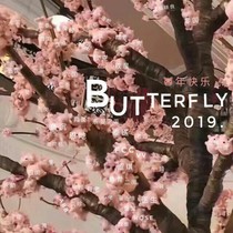 吐槽butterfly的一天