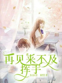 再见来不及挥手