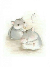 想一想，猜一猜