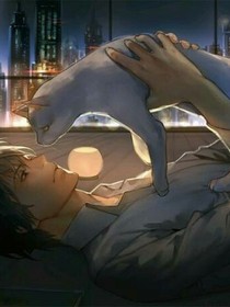 绝世猫妖