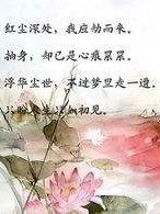 王爷请接招_错爱王妃_d637