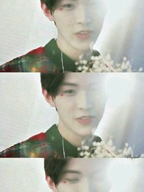 小狐貍:親愛的公主殿下