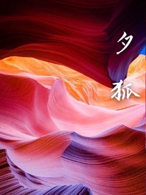 夕狐