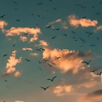 時(shí)光請(qǐng)慢點(diǎn)