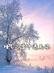 NPC之雪中遇见你