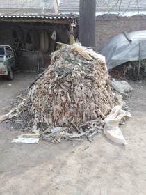 呢你好韓國(guó)股份
