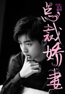 總裁嬌妻（手殘被刪掉的）