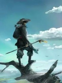 丐世高手
