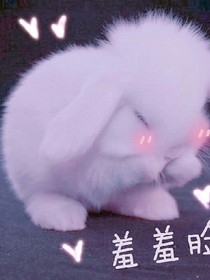 黄明昊:我会轻的