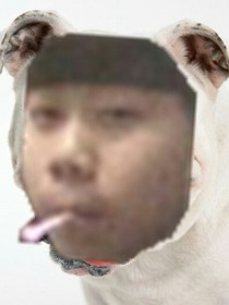 逗比狗头少年才不会穿越到奇葩的异世界