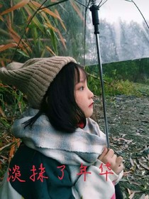 淡抹了年华