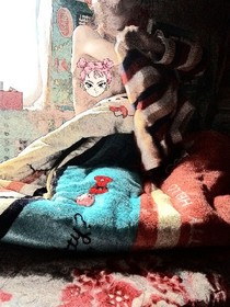 阿鑫阿发的学校冒险