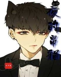 夜的帛貓