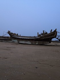 年年歲歲月
