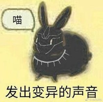 开车用的