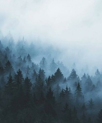 暮色撩人