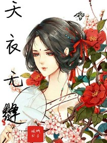 天衣无缝（书旗小说同名）